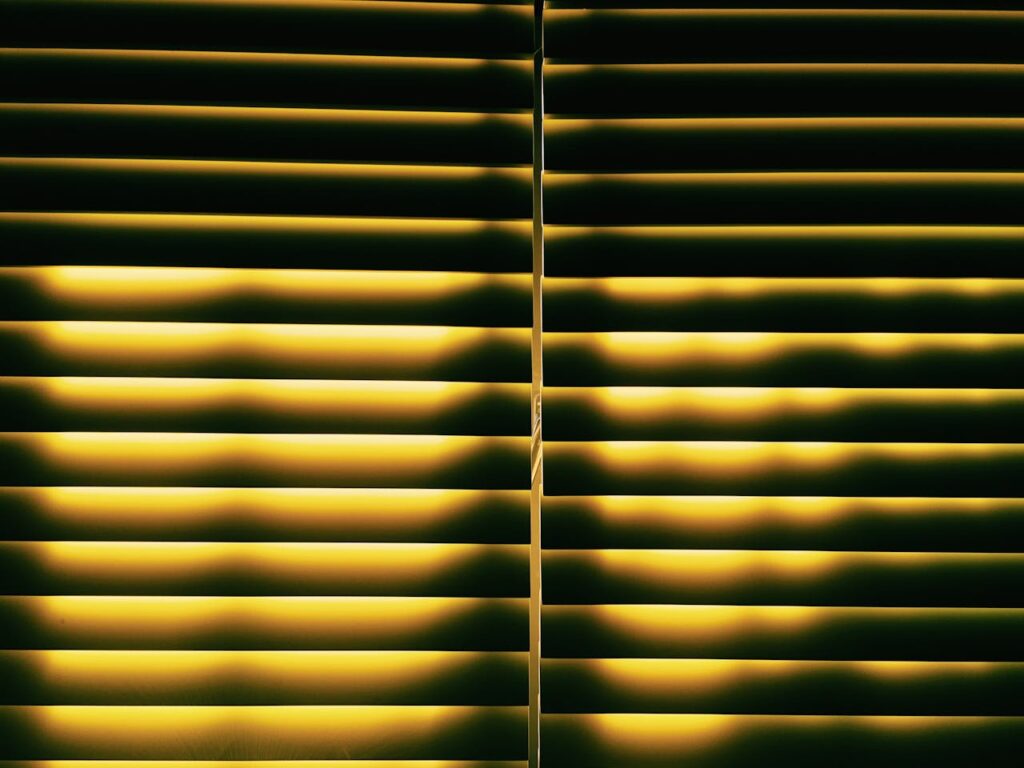 White Window Blinds